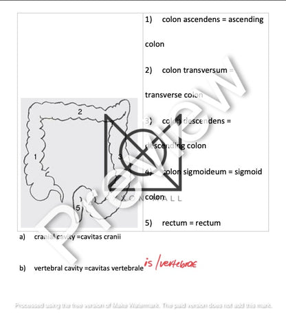 Complete Medical Terminology