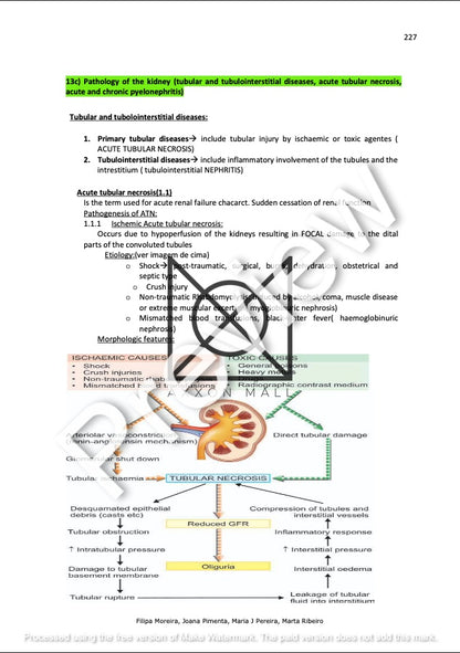 Pathoanatomy Class Notes