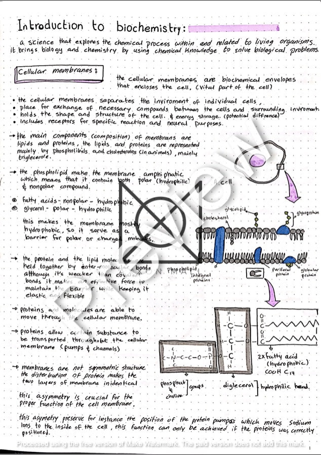 Biochemistry Notes by MUDr. Jeries Silbak