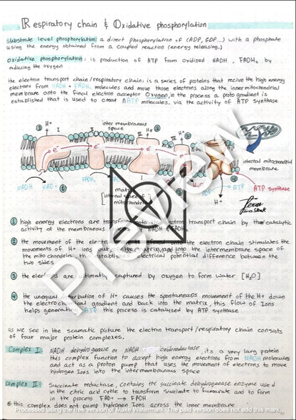 Biochemistry Notes by MUDr. Jeries Silbak
