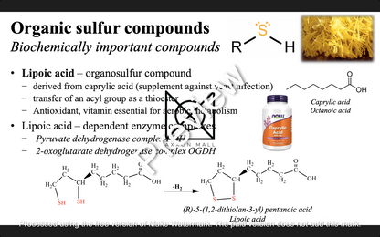 Medical Chemistry