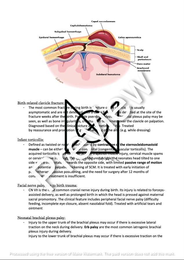 Paediatrics State Exam UPJS 2022/23