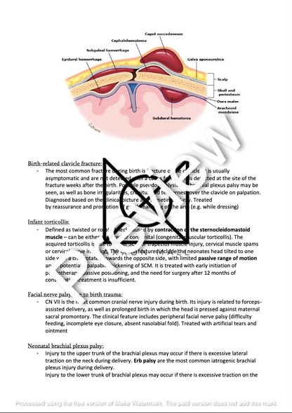 Paediatrics State Exam UPJS 2022/23