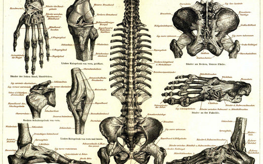 Complete Medical Terminology