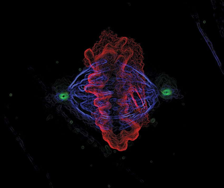 Cell Division by Baran Deniz