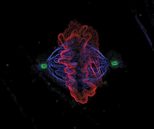 Cell Division by Baran Deniz
