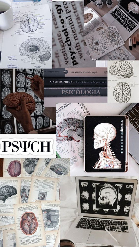 Psychology Summary by MDDr. Uta Hüning